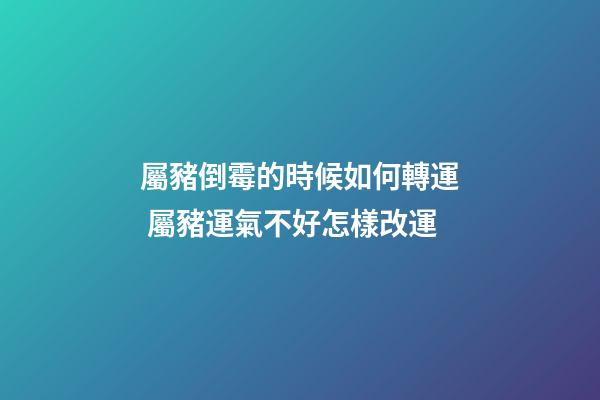 屬豬倒霉的時候如何轉運 屬豬運氣不好怎樣改運-第1張-觀點-玄機派